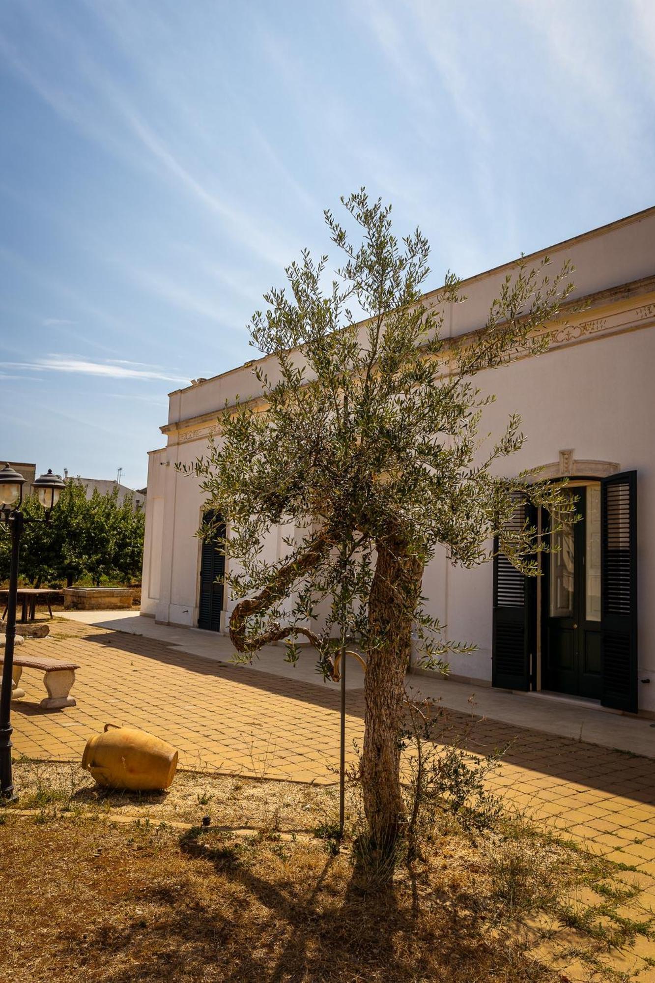 Affittacamere Giardino Delle Zie-Vicino Ospedale Cardinale Panico Триказе Екстер'єр фото